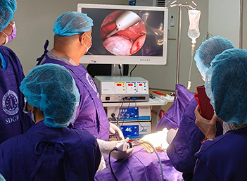 Endoscope LED Cold Light Source high brightness Gallery
