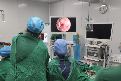 [Otolaryngology Otoscopy] Treatment of foreign bodies in the external auditory canal