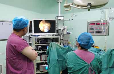 [Percutaneous Nephroscopy in Urology] Percutaneous nephrolithotomy
